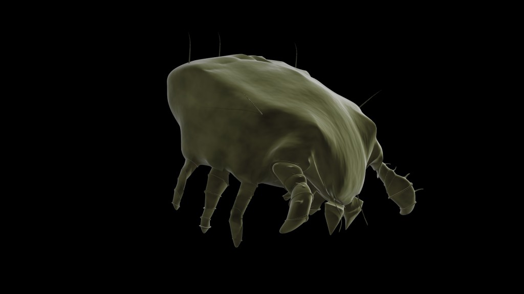 Dust-mite preview image 1
